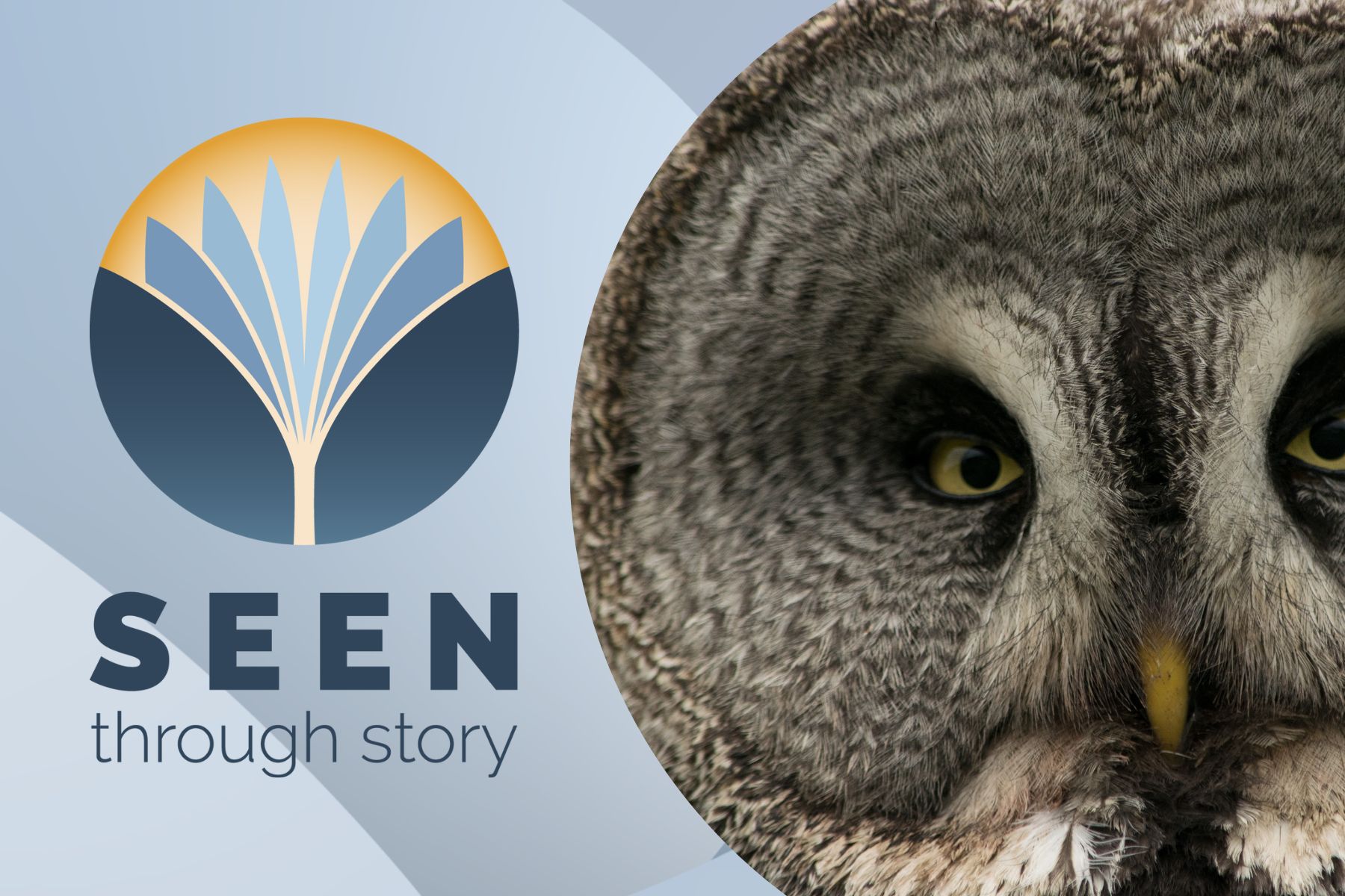 story workshop image