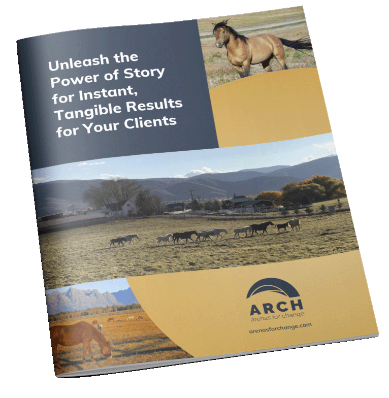 Cover Image of Unleash the Power of Story eBook