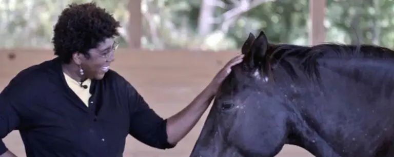 Smiling woman touching the forehead of a horse